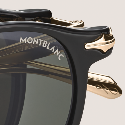 Oval foldabale Sunglasses with Black Colored Injected Frame