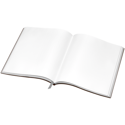 Notebook #149 large, Tobacco - Blank